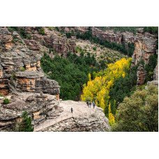 Plakatas Gamta 1141; Dydis A2, A1, A0 formato Plakatas Gamta 1141; Dydis A2, A1, A0 formato