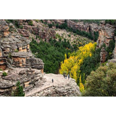 Plakatas Gamta 1141; Dydis A2, A1, A0 formato