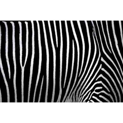 Fototapetai Abstrakcija 1271; 200x270cm, 300x270cm, 400x270cm