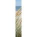 Fototapetai Augalai 1377; 200x270cm, 300x270cm, 400x270cm