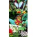 Fototapetas Drugeliai 1056; 200x270cm, 300x270cm, 400x270cm