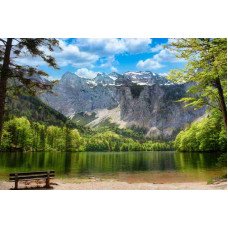 Fototapetai Gamta 1276;  200x270cm, 300x270cm, 400x270cm