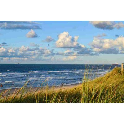 Fototapetai Gamta 1661;  200x270cm, 300x270cm, 400x270cm