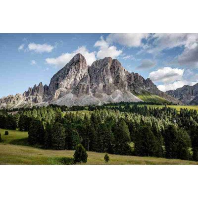 Fototapetai Gamta 1694;  200x270cm, 300x270cm, 400x270cm