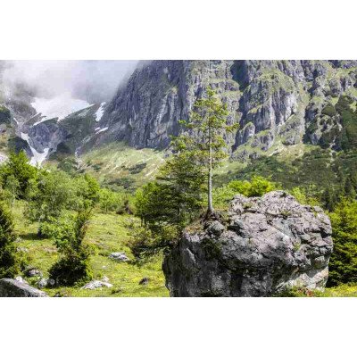 Fototapetai Gamta 1696;  200x270cm, 300x270cm, 400x270cm