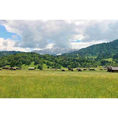 Fototapetai Gamta 1697;  200x270cm, 300x270cm, 400x270cm