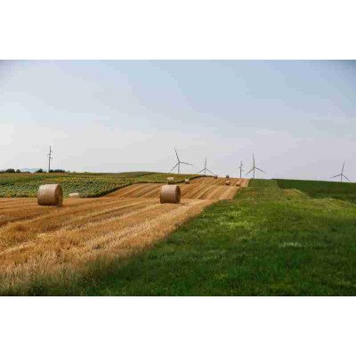 Fototapetai Gamta 1699;  200x270cm, 300x270cm, 400x270cm