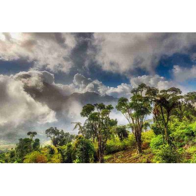 Fototapetai Gamta 1704;  200x270cm, 300x270cm, 400x270cm